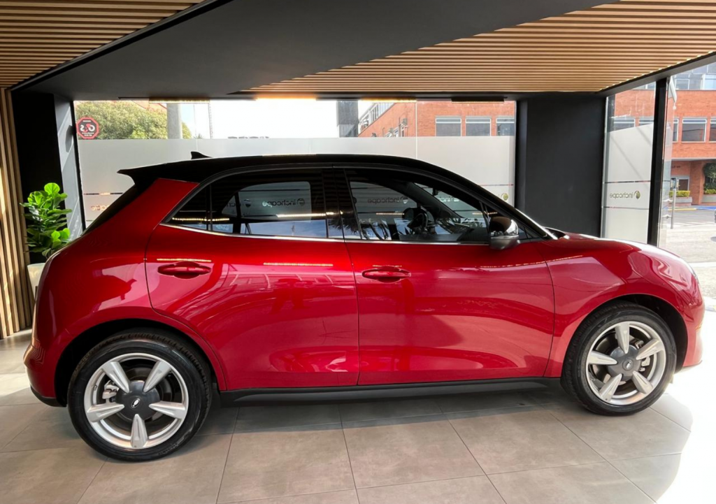 Detalle del vehículo