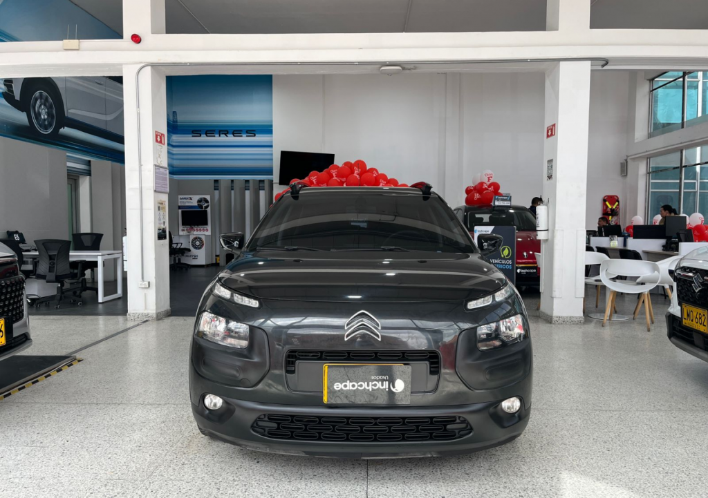 Detalle del vehículo