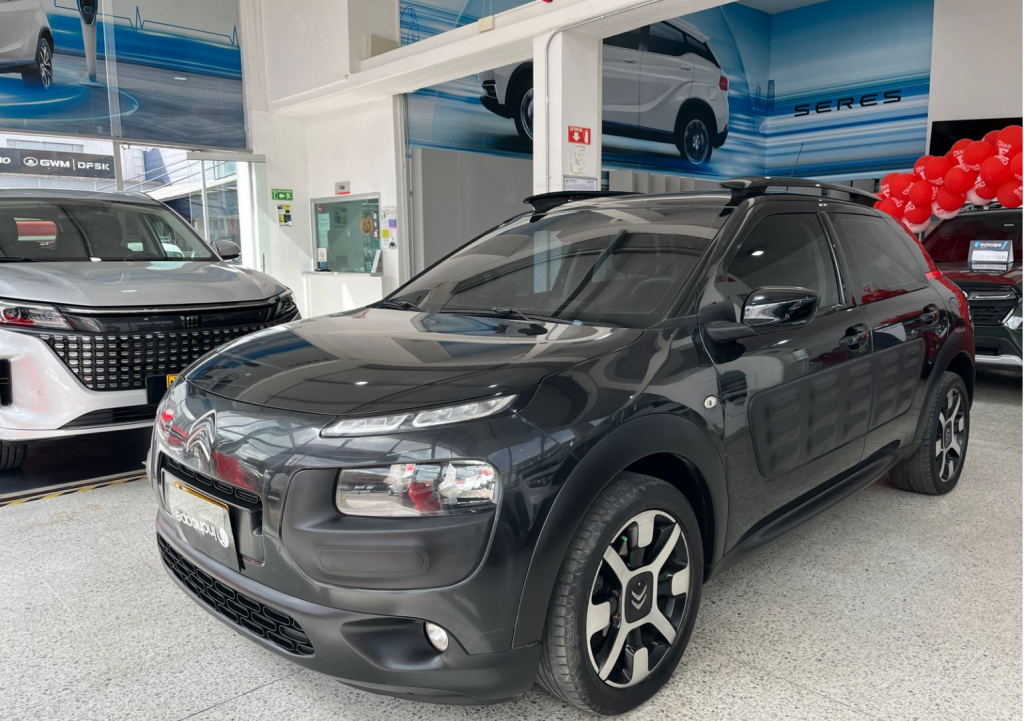 Detalle del vehículo