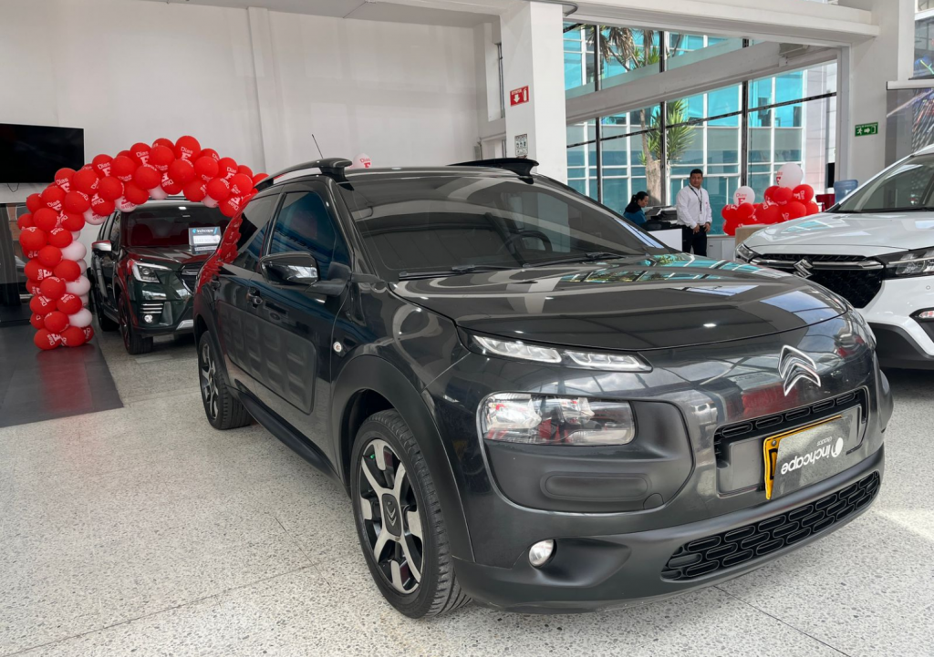 Detalle del vehículo